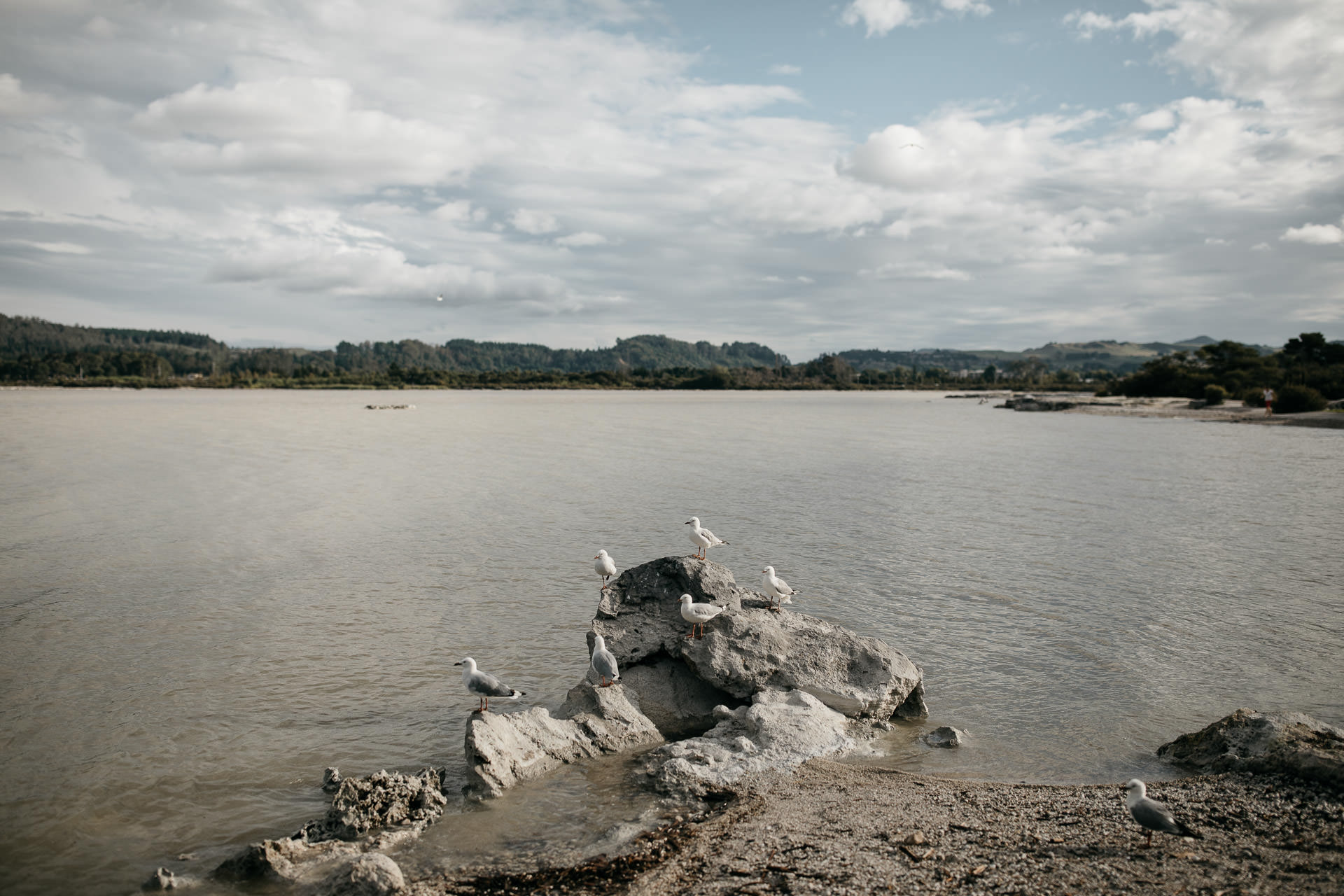 Courtney & James Engagement New Zealand