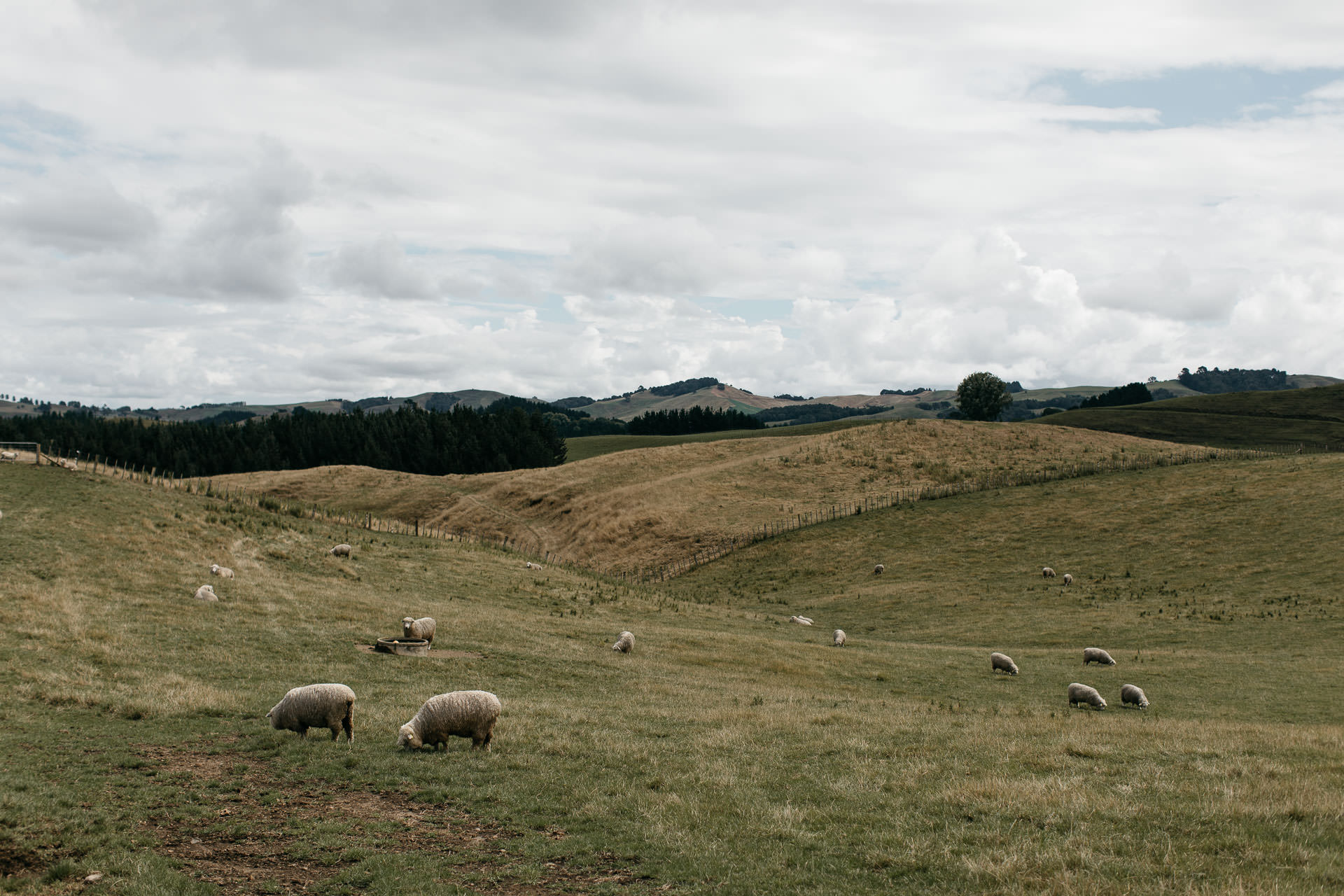 Courtney & James Engagement New Zealand