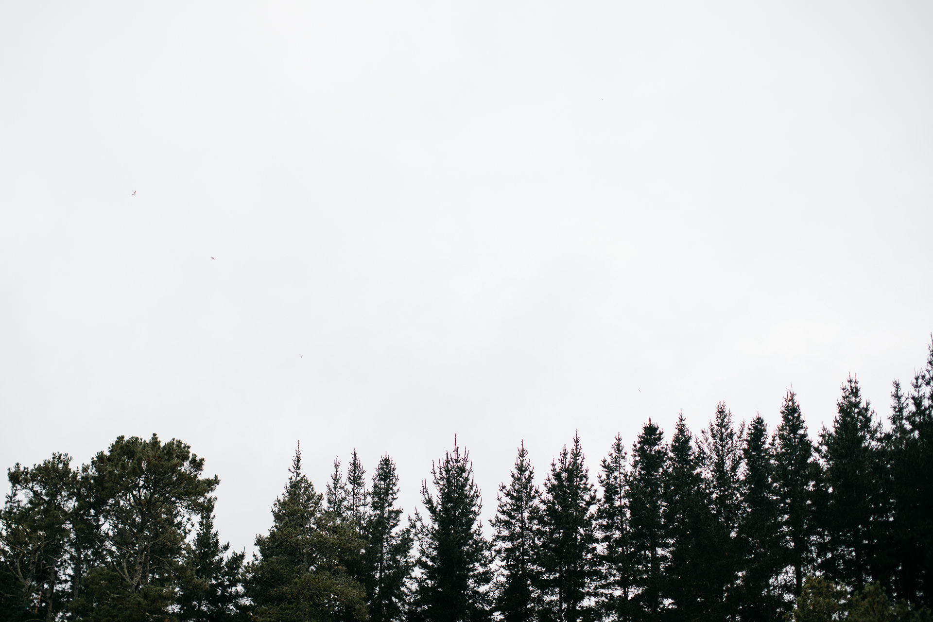 Courtney & James Engagement New Zealand