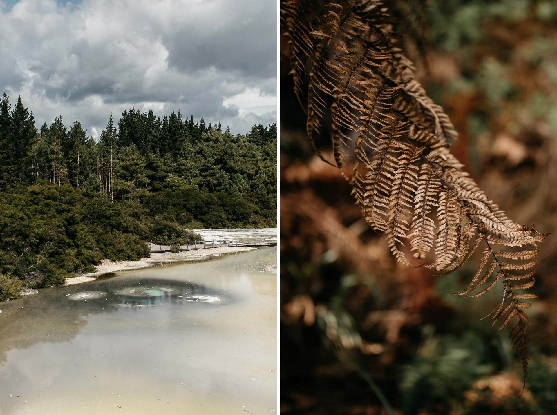 Courtney & James Engagement New Zealand