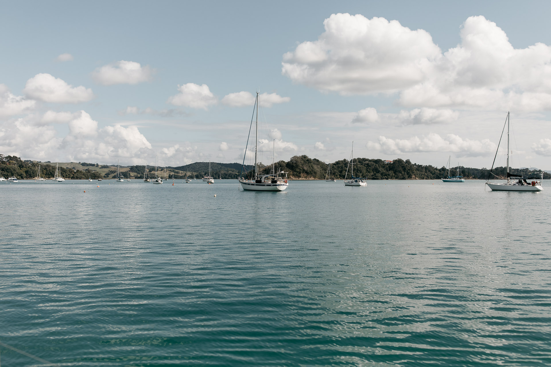 Kira and Fletch Love Session on Kawau Island New Zealand by Jean-Laurent Gaudy