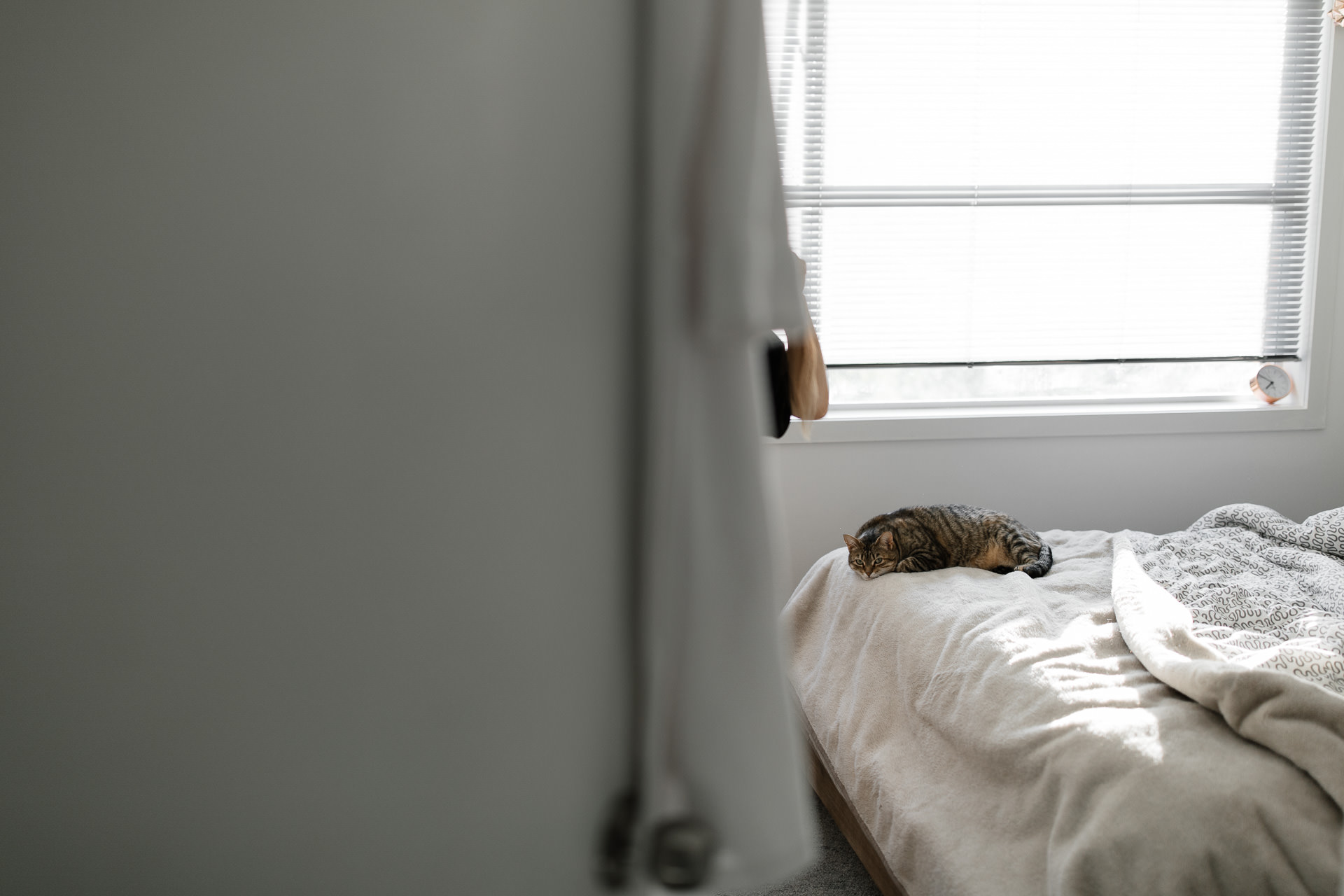 Kira and Fletch Love Session on Kawau Island New Zealand by Jean-Laurent Gaudy