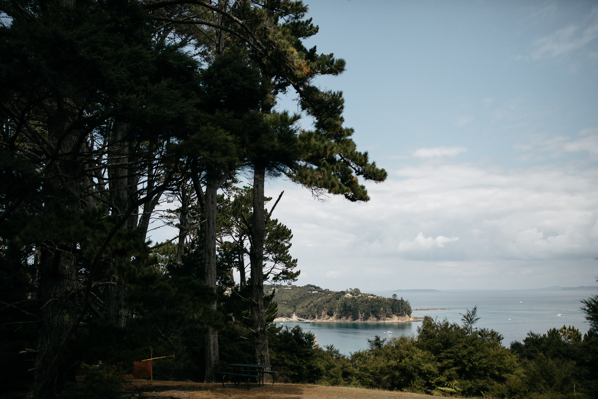 Kira and Fletch Love Session on Kawau Island New Zealand by Jean-Laurent Gaudy