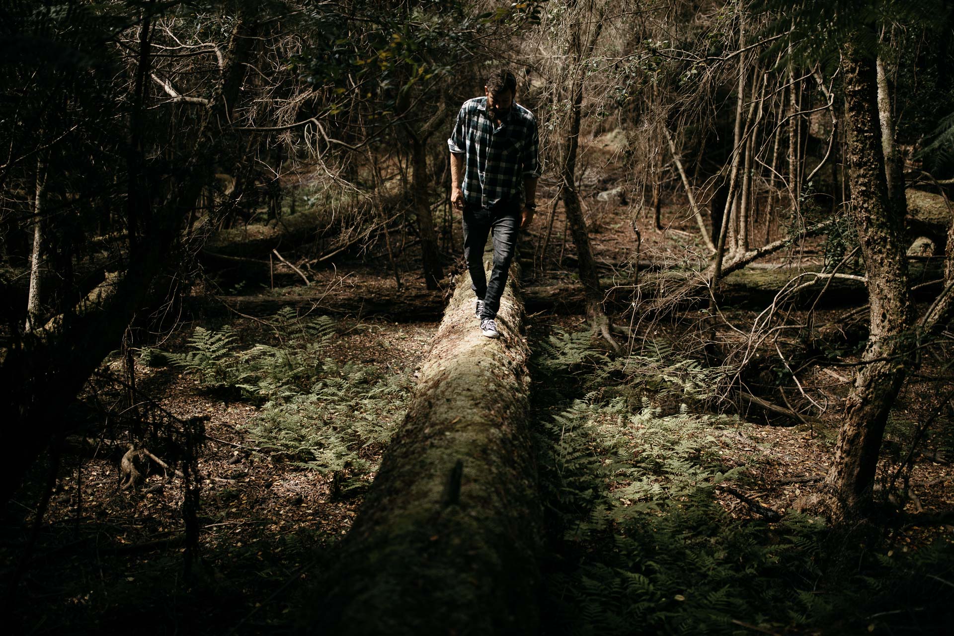 Kira and Fletch Love Session on Kawau Island New Zealand by Jean-Laurent Gaudy