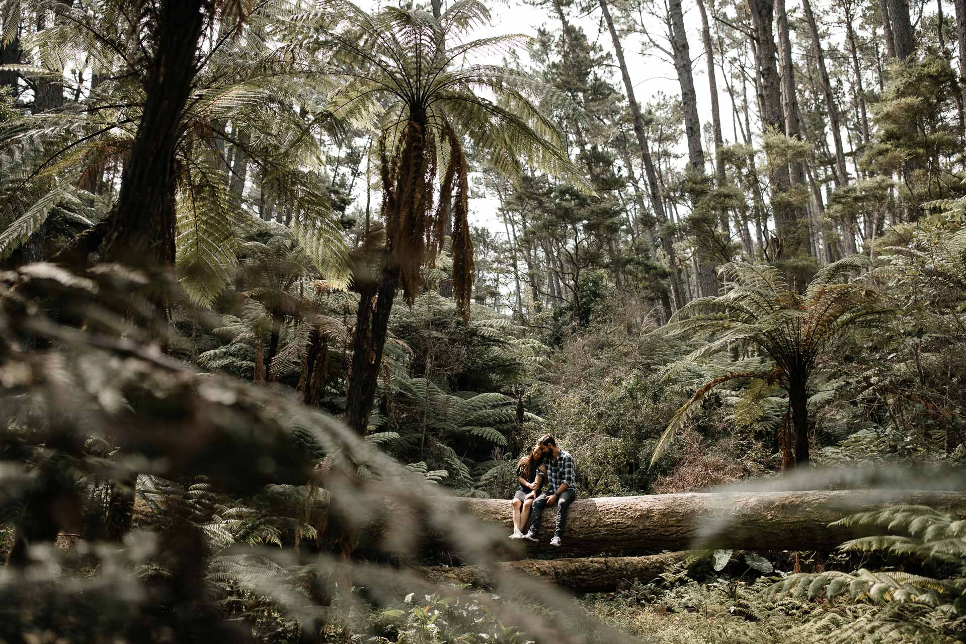 Kira and Fletch Love Session on Kawau Island New Zealand by Jean-Laurent Gaudy