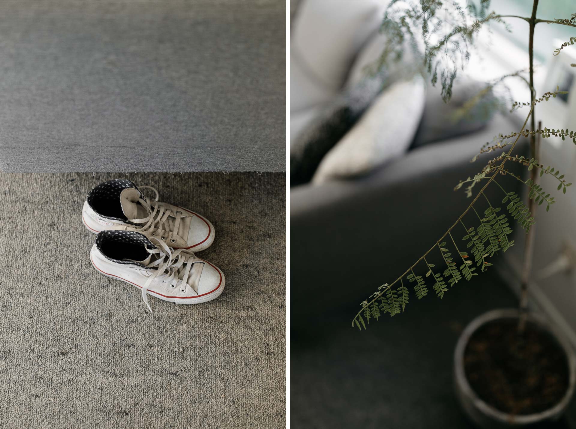 Kira and Fletch Love Session on Kawau Island New Zealand by Jean-Laurent Gaudy