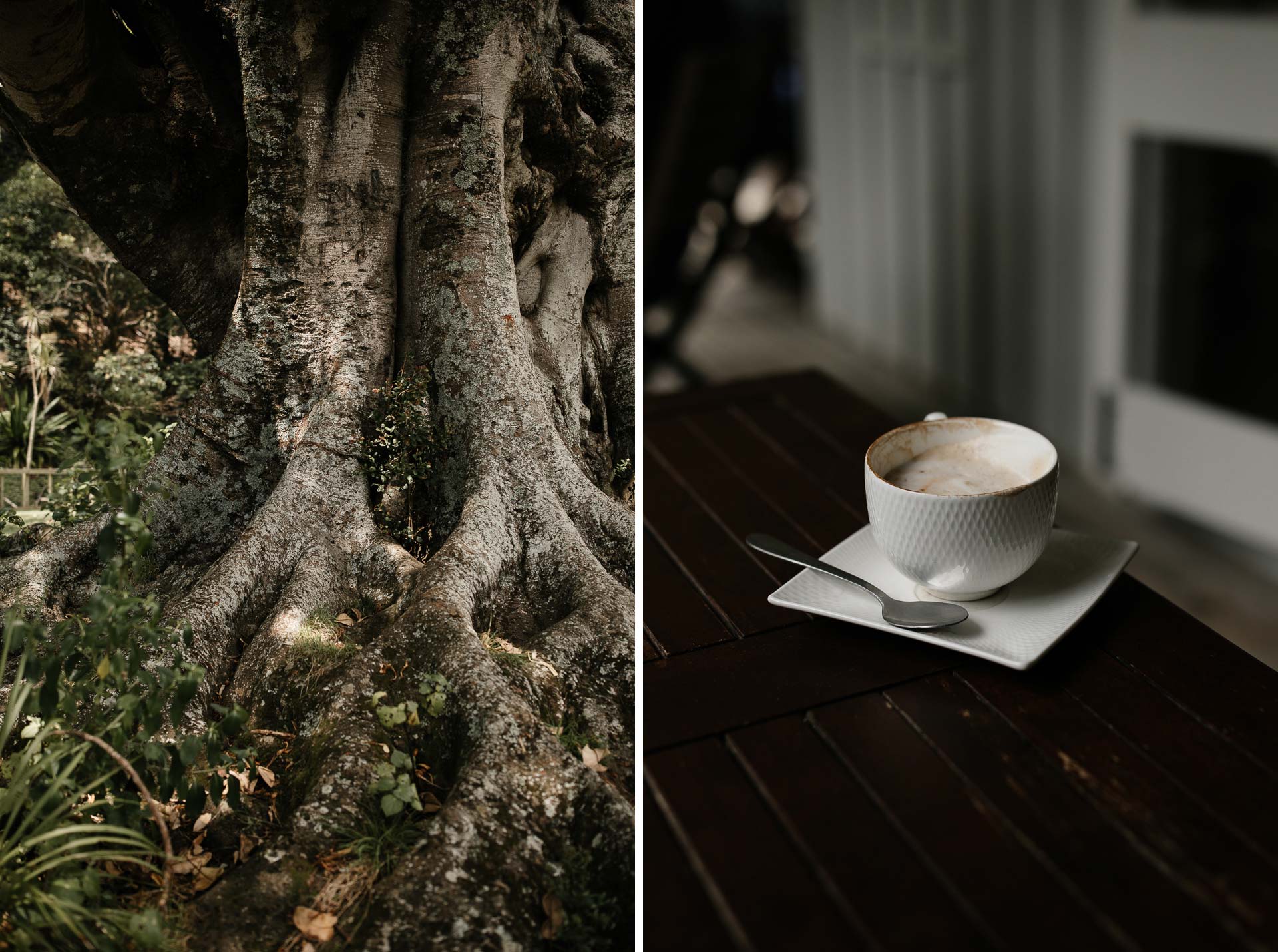 Kira and Fletch Love Session on Kawau Island New Zealand by Jean-Laurent Gaudy