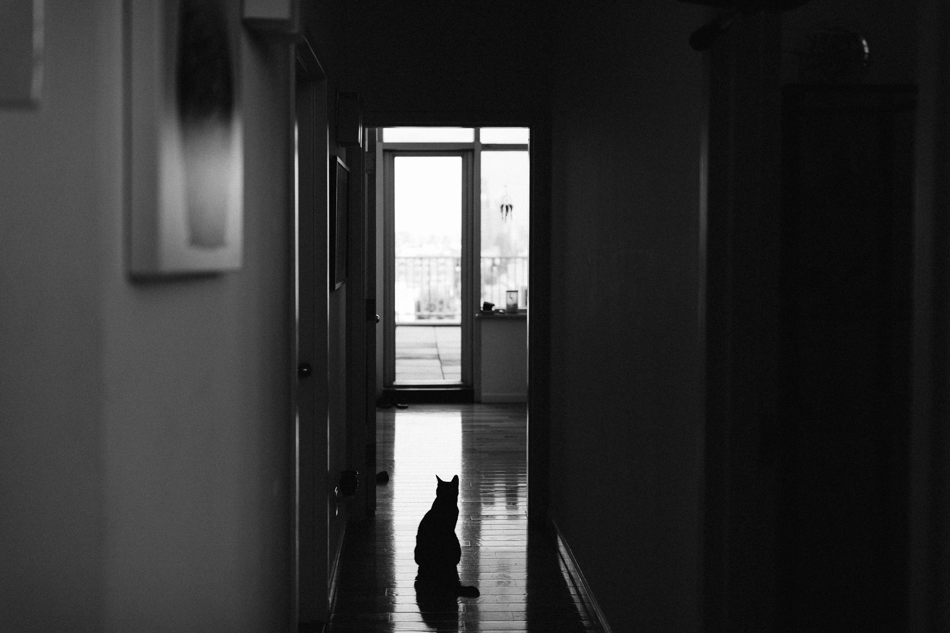 Elopement Untermyer Gardens in New York City by Jean-Laurent Gaudy