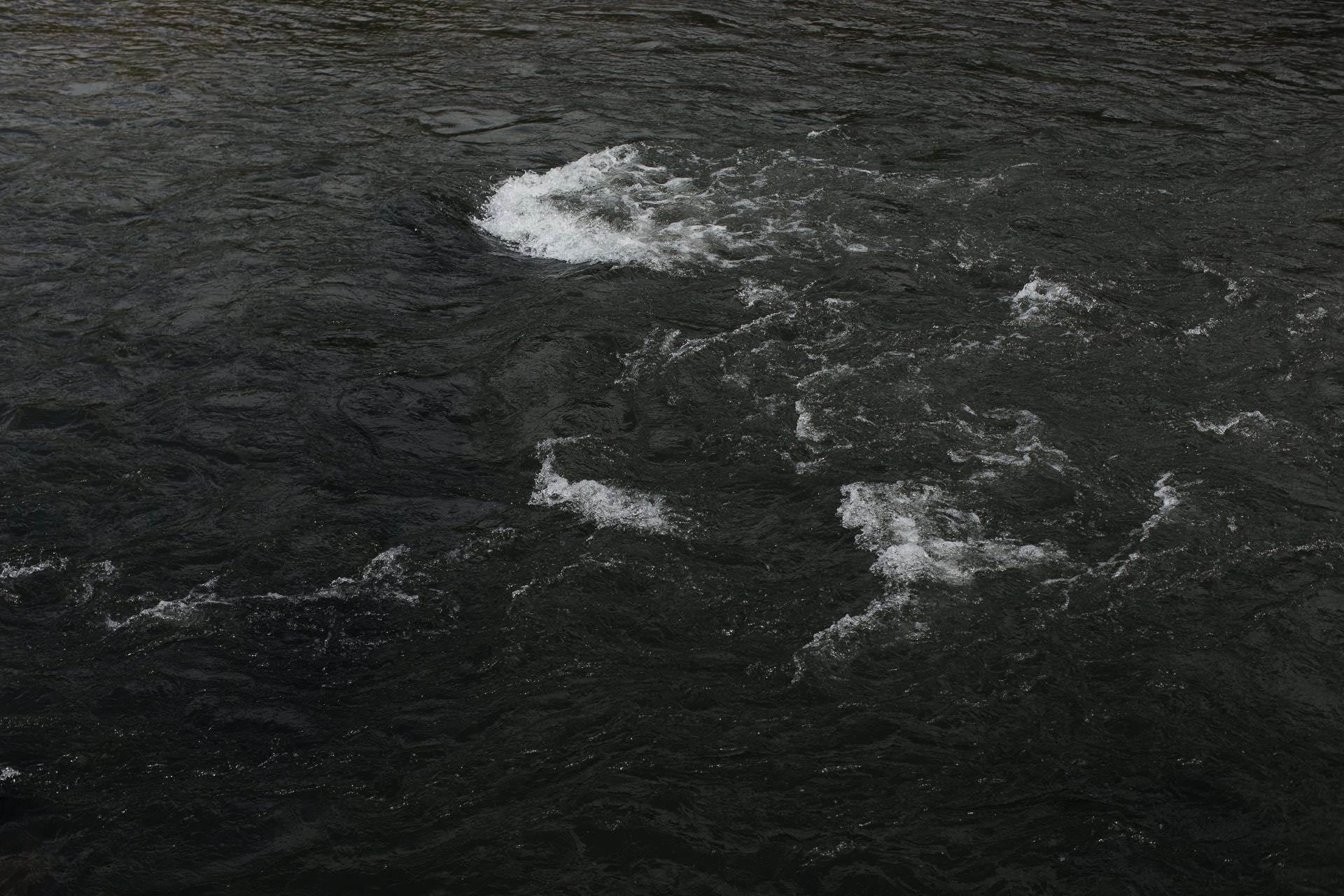 Isabel & Robbie Romantic Catskills Wedding in mount Tremper by Jean-Laurent Gaudy