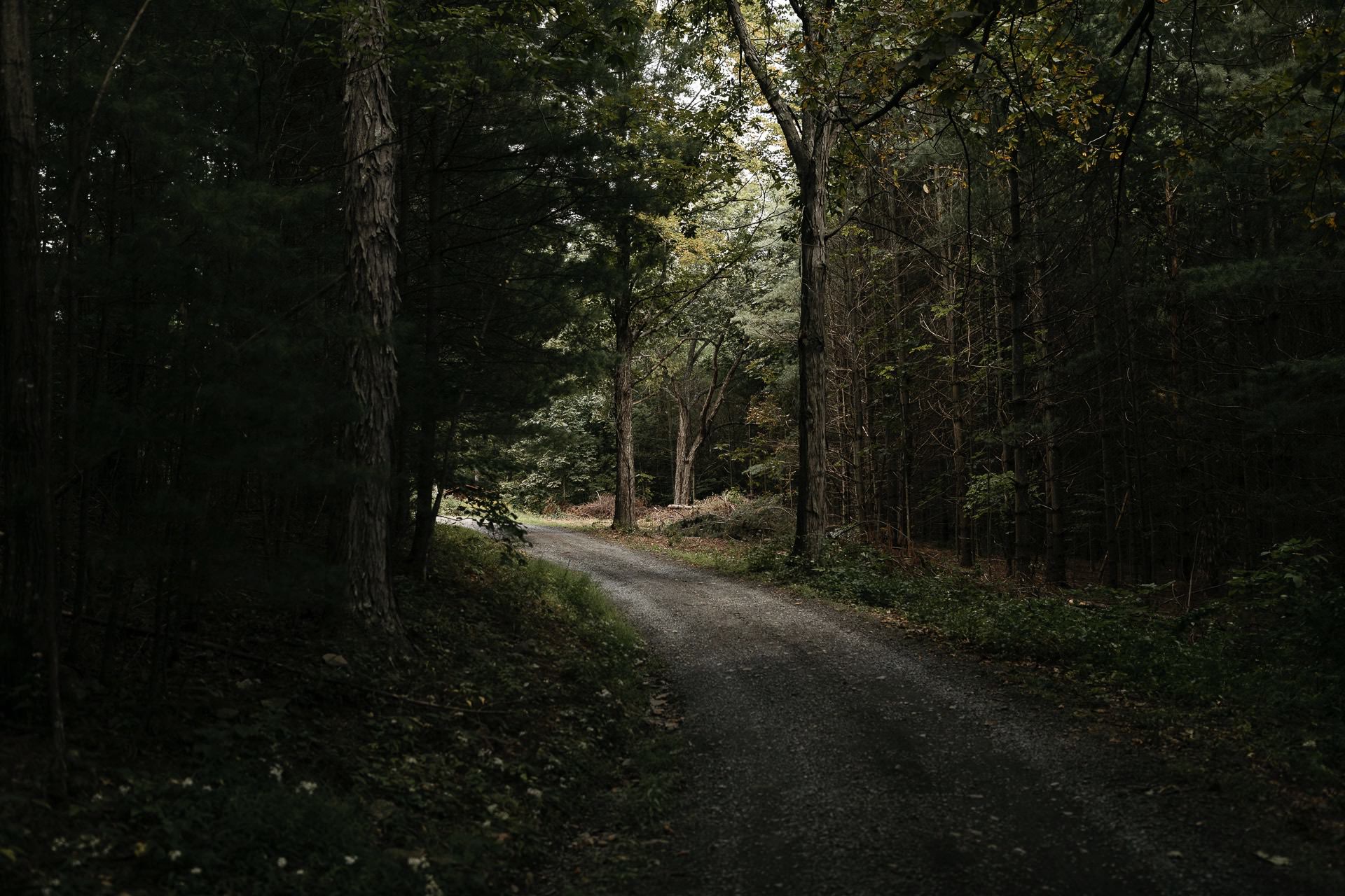 Isabel & Robbie Romantic Catskills Wedding in mount Tremper by Jean-Laurent Gaudy