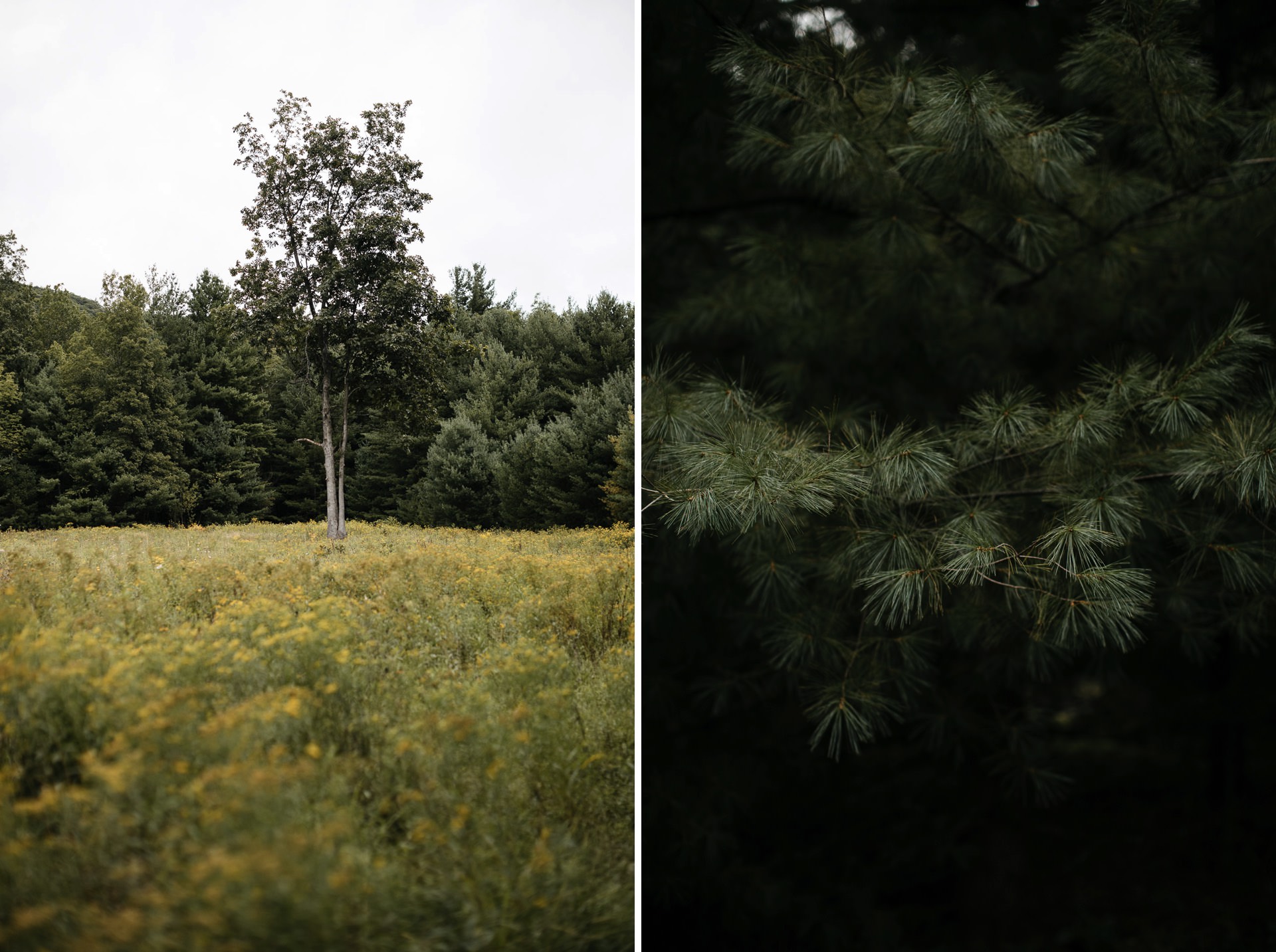 Isabel & Robbie Romantic Catskills Wedding in mount Tremper by Jean-Laurent Gaudy