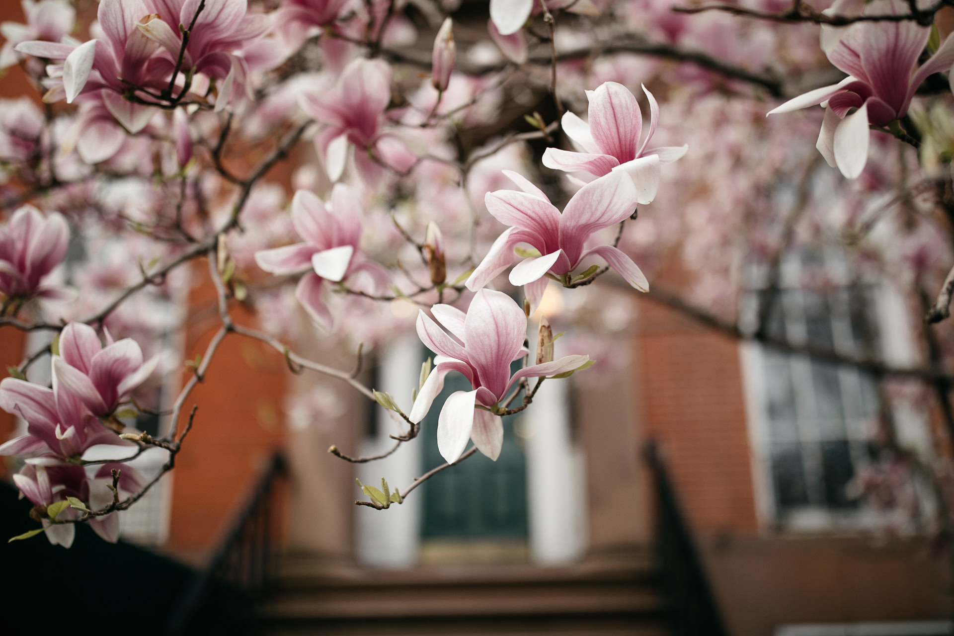 Kelly & Wells Engagement in West Village, New York, by Jean-Laurent Gaudy