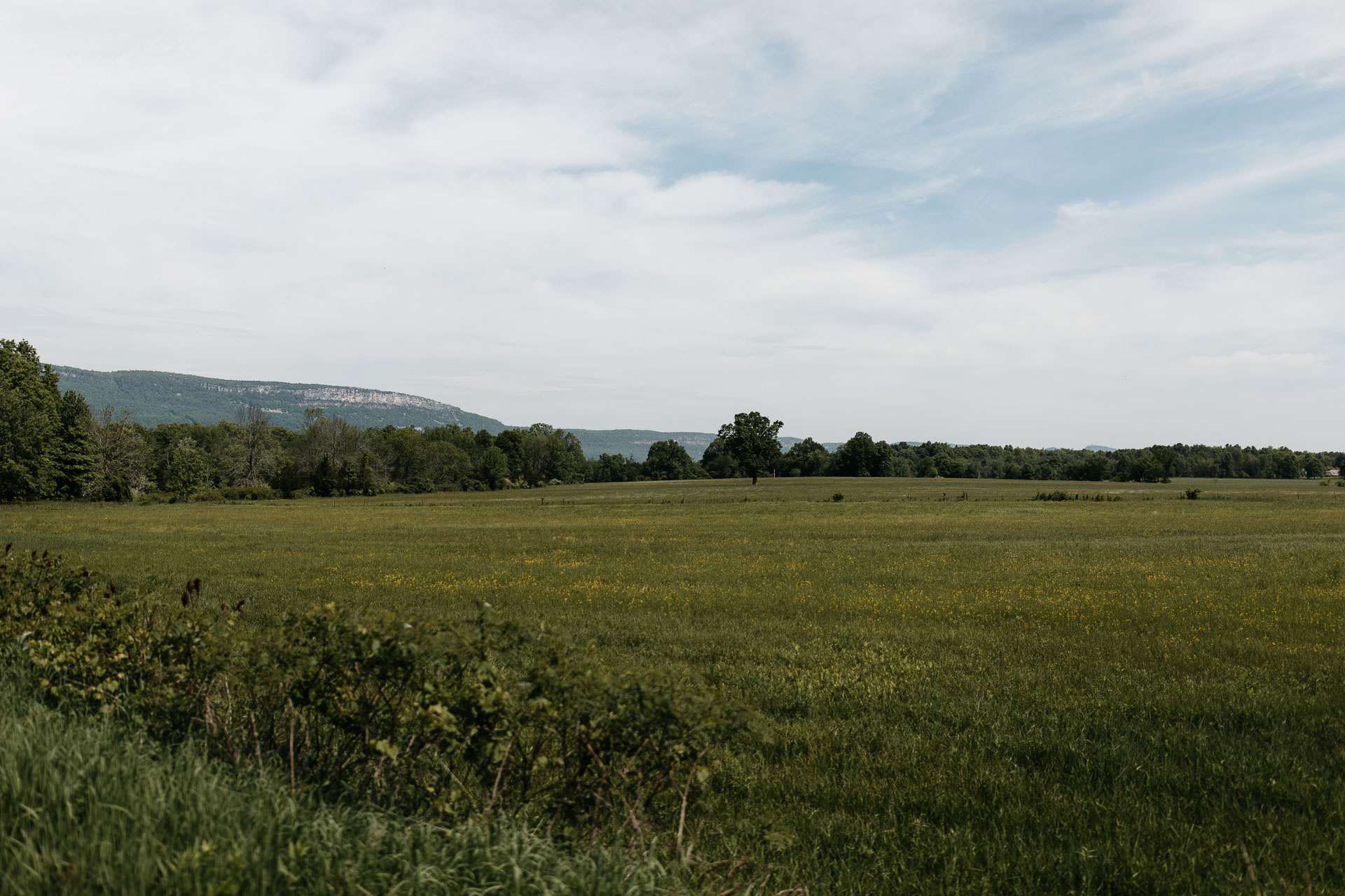 Sarah & Jonathan Wedding Audrey's Farmhouse Greenhouse Catskills, New York, by Jean-Laurent Gaudy