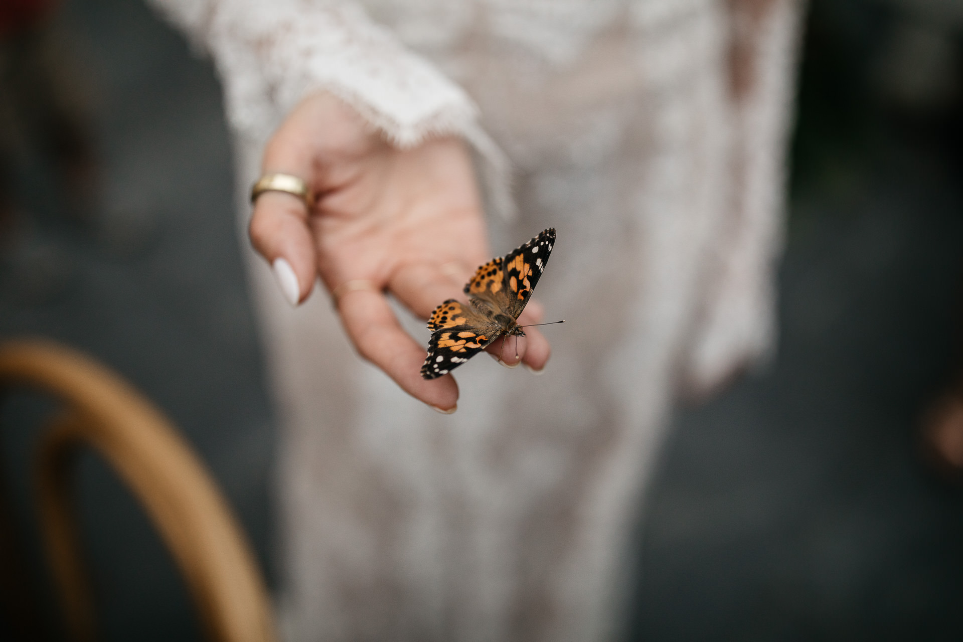 Sarah & Jonathan Wedding Audrey's Farmhouse Greenhouse Catskills, New York, by Jean-Laurent Gaudy