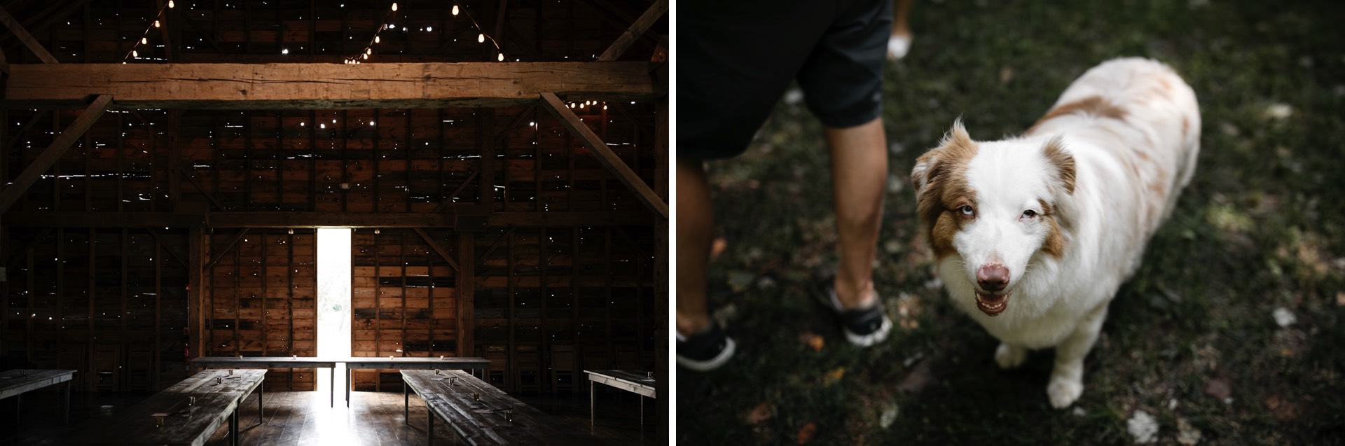 Victoria & Mark Wedding Handsome Hollow, Catskills, by Jean-Laurent Gaudy