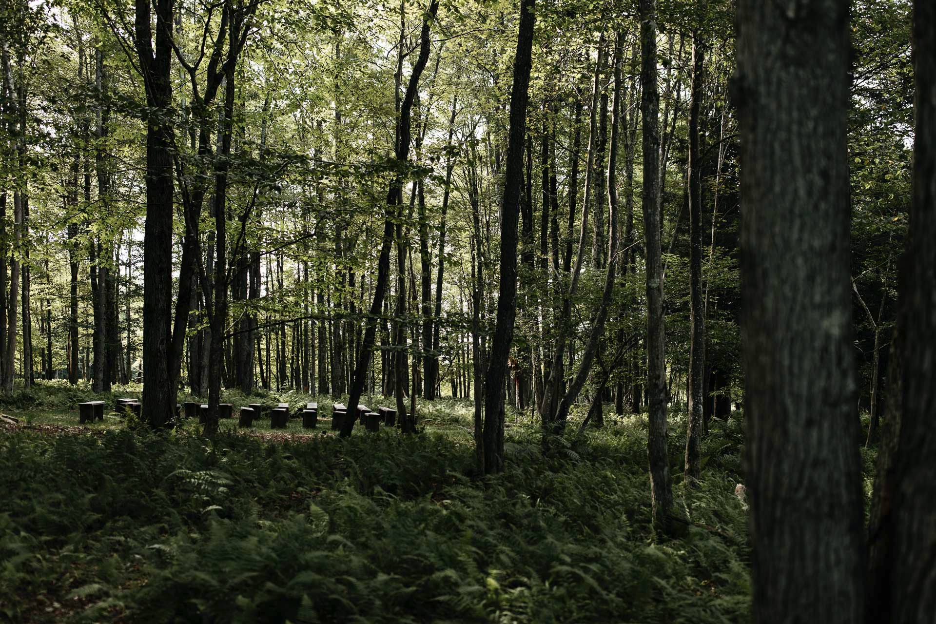 Victoria & Mark Wedding Handsome Hollow, Catskills, by Jean-Laurent Gaudy