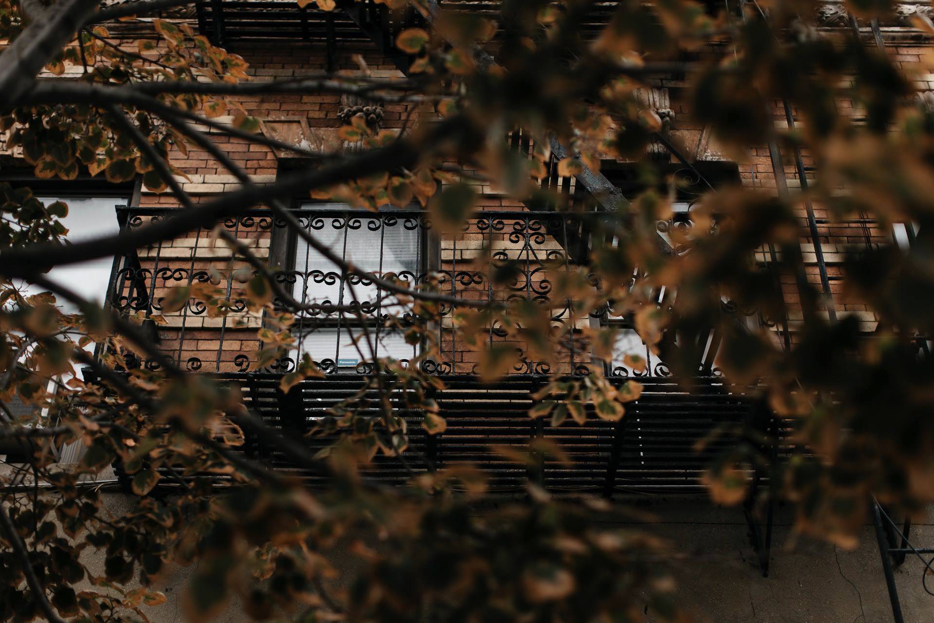 Tara & Sean's Engagement in Brooklyn, New York, by Jean-Laurent Gaudy