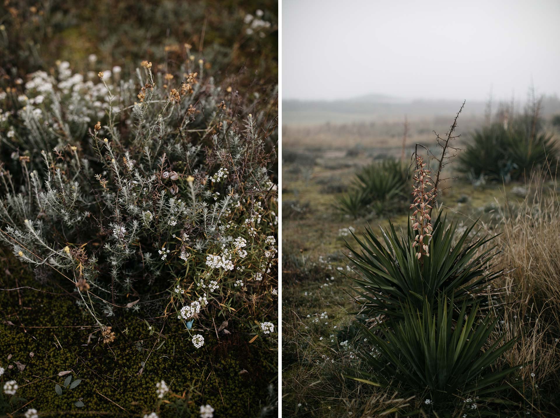 Boho Intimate Wedding France, Biarritz, by Jean-Laurent Gaudy
