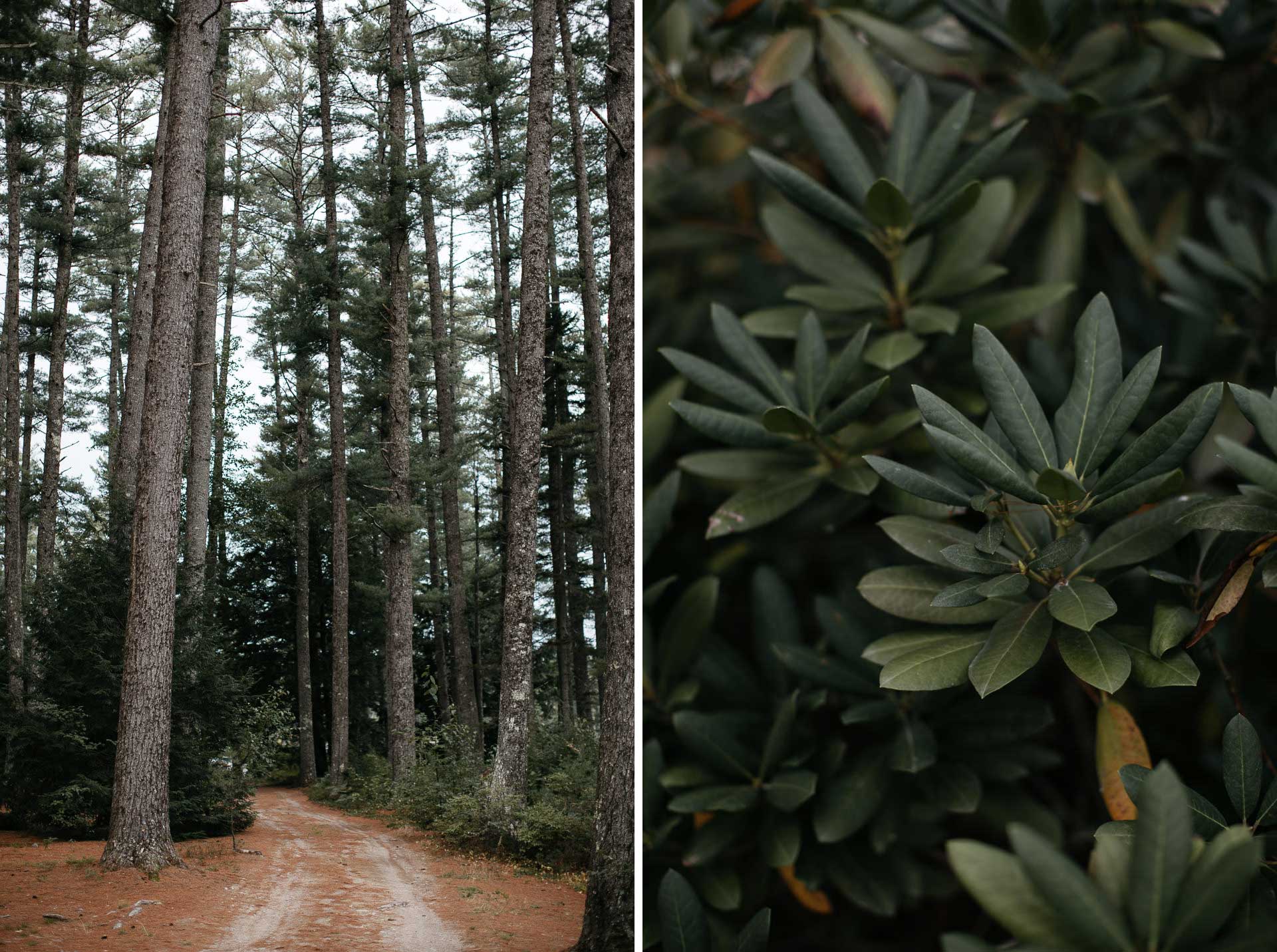 Boho Intimate Wedding in Maine By Jean-Laurent Gaudy Photography