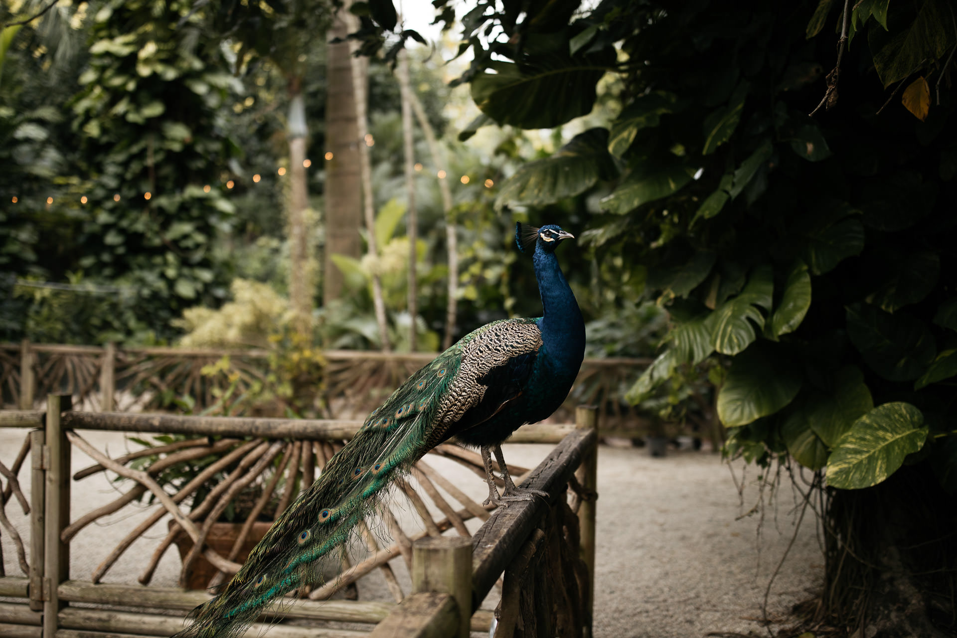 Historic Walton House Wedding, Florida, by Jean-Laurent Gaudy