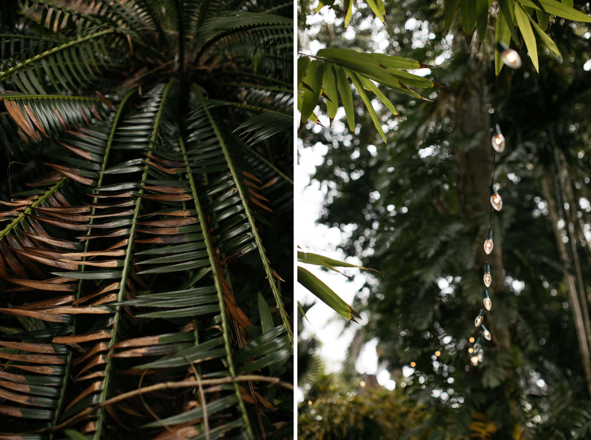Historic Walton House Wedding, Florida, by Jean-Laurent Gaudy