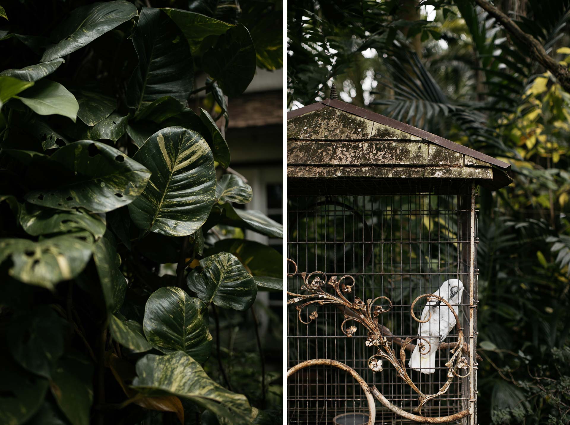 Historic Walton House Wedding, Florida, by Jean-Laurent Gaudy