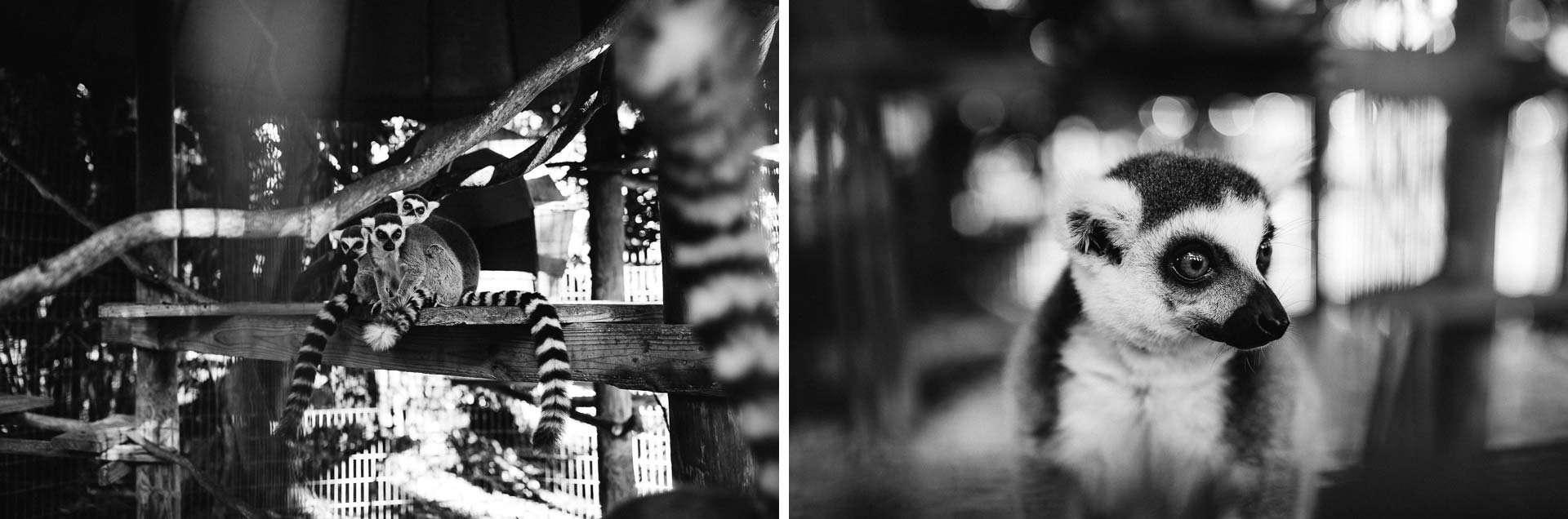 Historic Walton House Wedding, Florida, by Jean-Laurent Gaudy