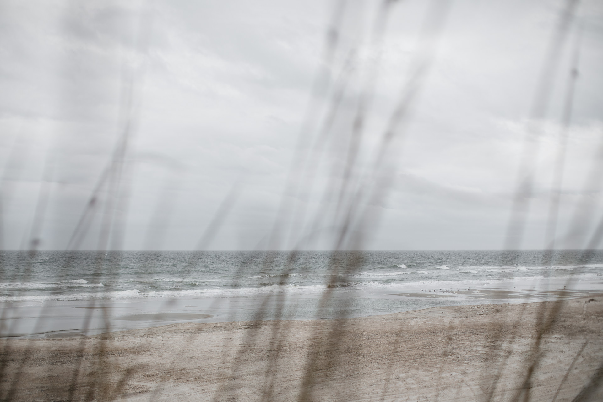 Amelia Island Wedding, Florida, by Jean-Laurent Gaudy