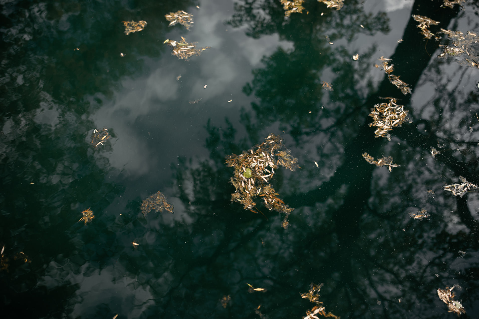 Elopement Catskills New York by Jean-Laurent Gaudy Photography