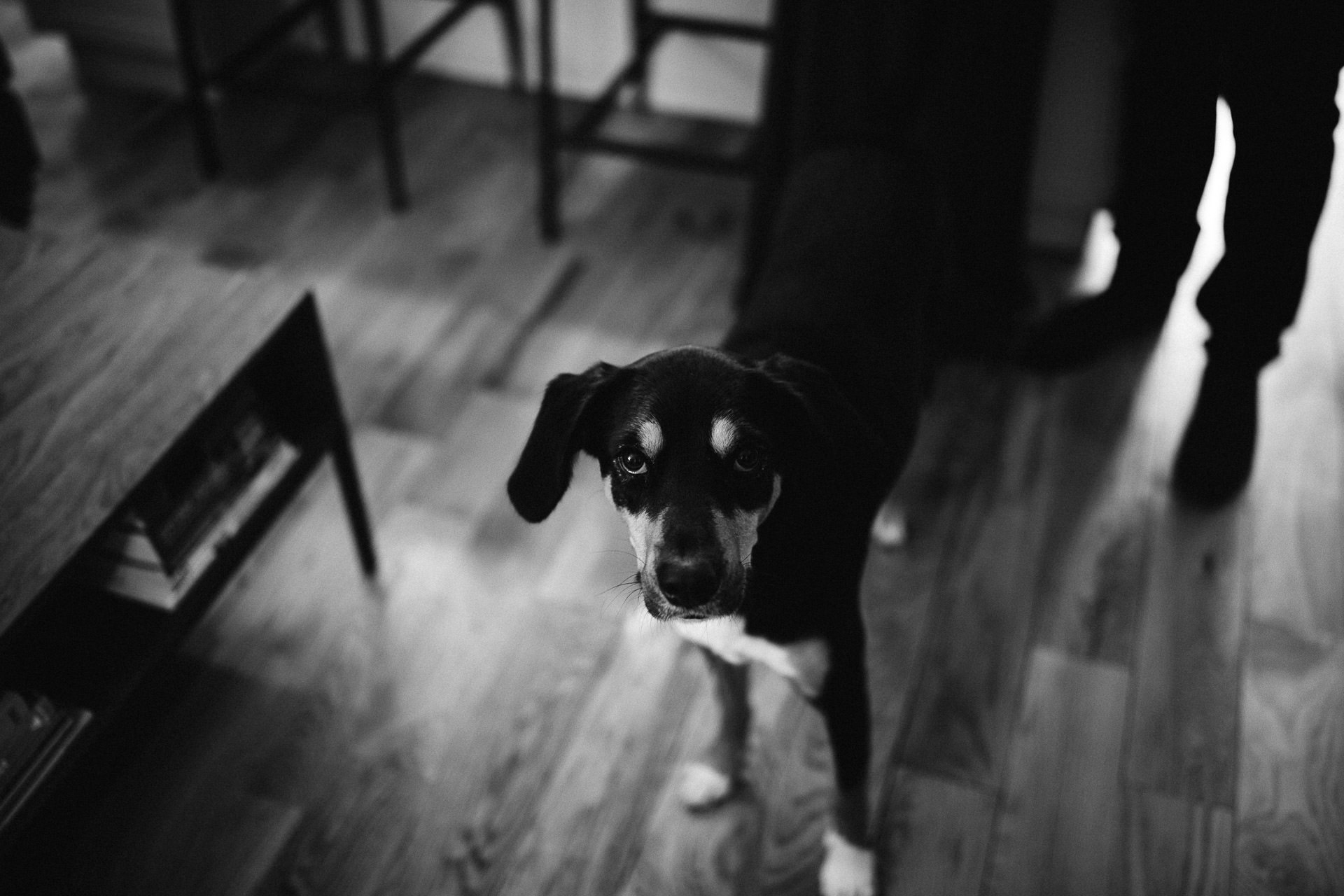 Engagement Session in Brooklyn by Jean-Laurent Gaudy Photography