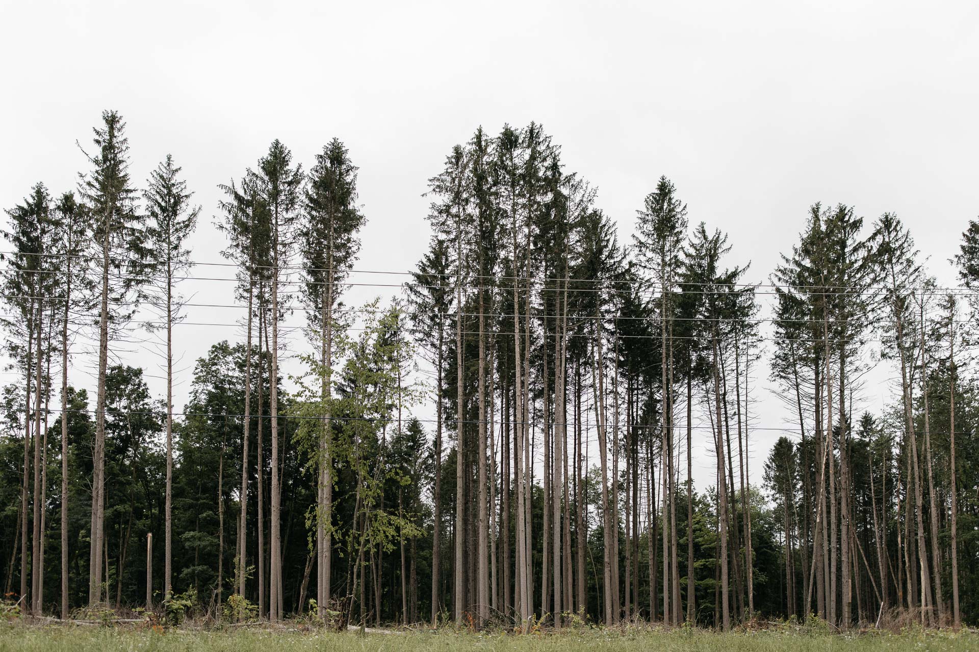 Rachel & David Boho Catskills wedding at Foxfire Moutain House by Jean-Laurent Gaudy