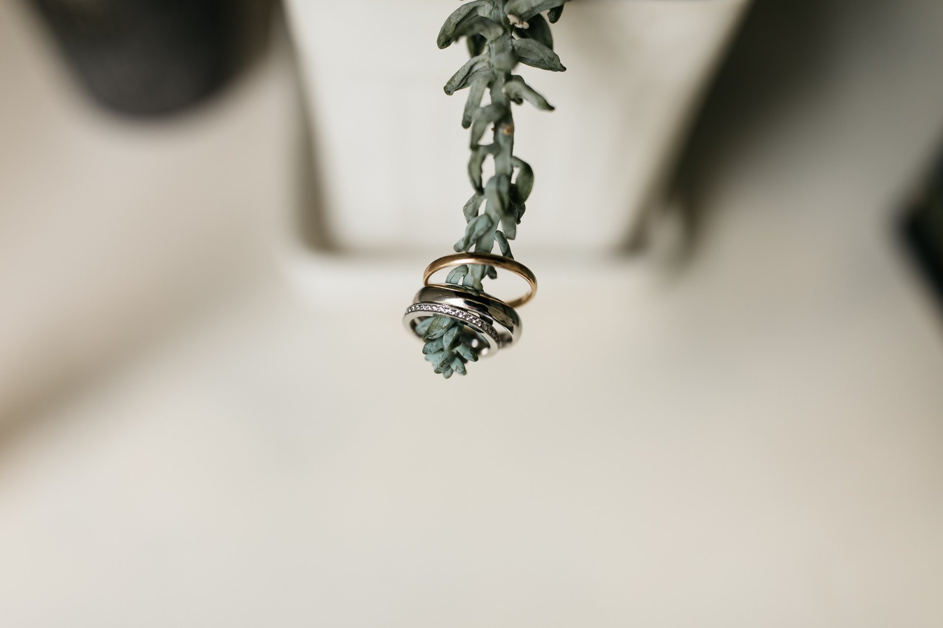 Rachel & David Boho Catskills wedding at Foxfire Moutain House by Jean-Laurent Gaudy