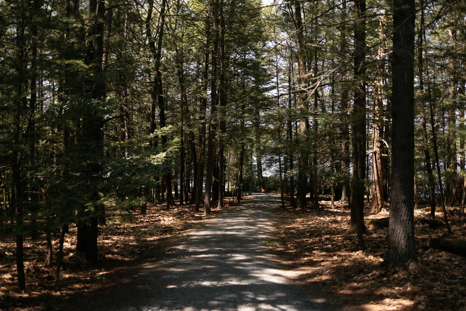Nicole & Matt Boho Lake Ariel wedding by Jean-Laurent Gaudy