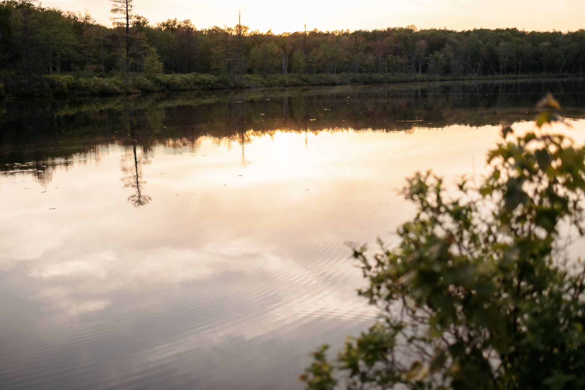 Nicole & Matt Boho Lake Ariel wedding by Jean-Laurent Gaudy